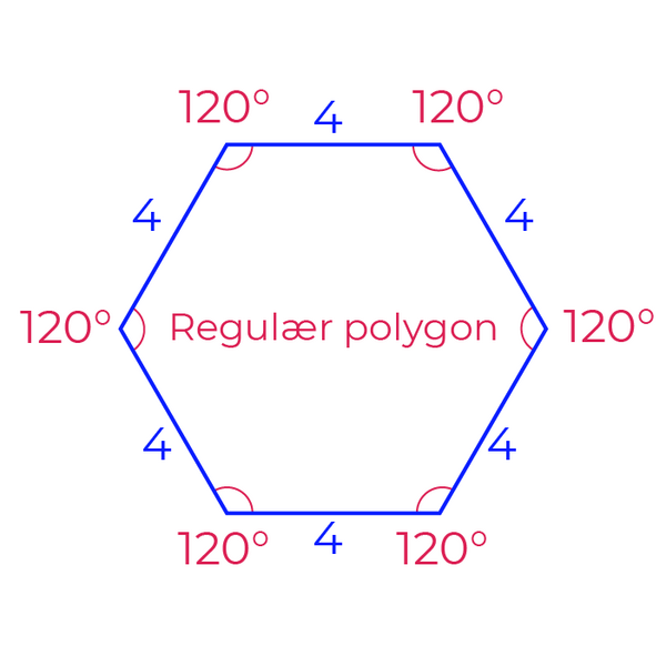 Regulaer polygon